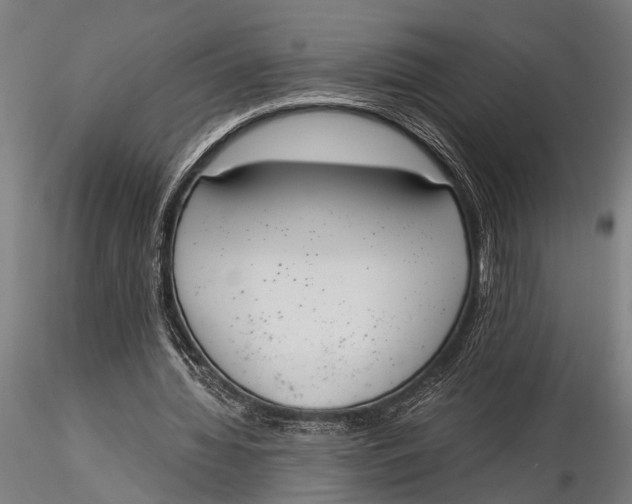 X0000116020436200912111355