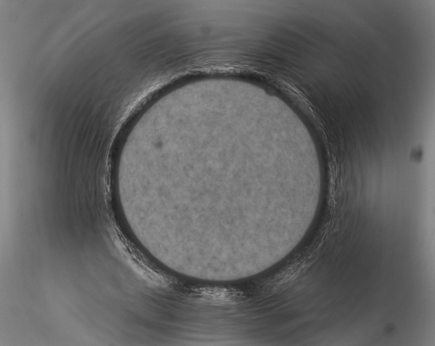 X0000116020439200912111355