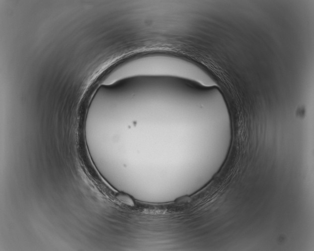 X0000116020440200912111356