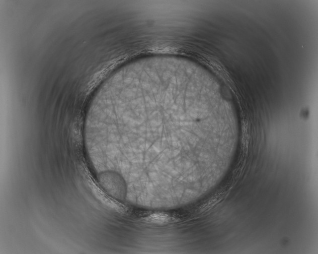 X0000116020441200912111356