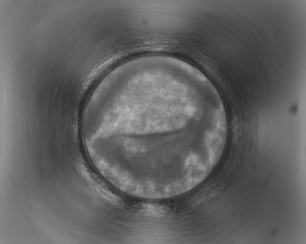 X0000116020442200912111356