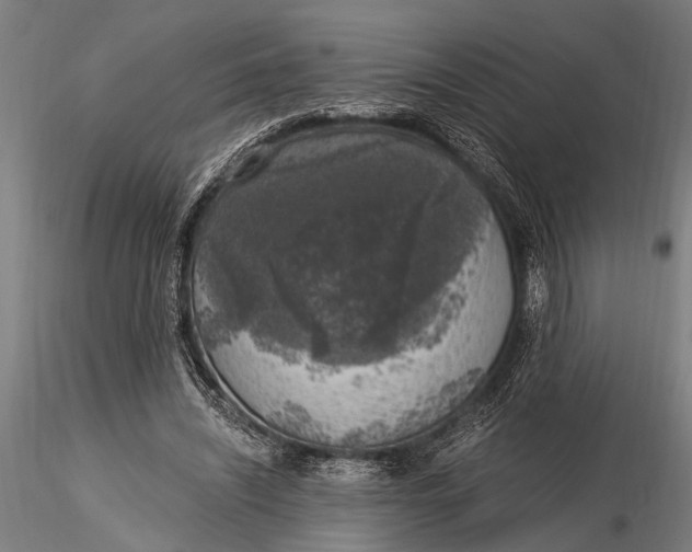 X0000116020444200912111356