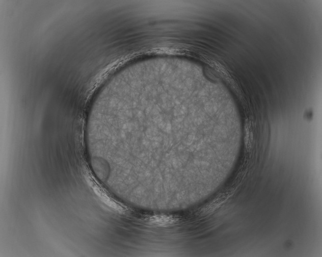 X0000116020445200912111356