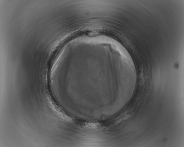 X0000116020446200912111356