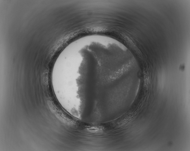 X0000116020447200912111356