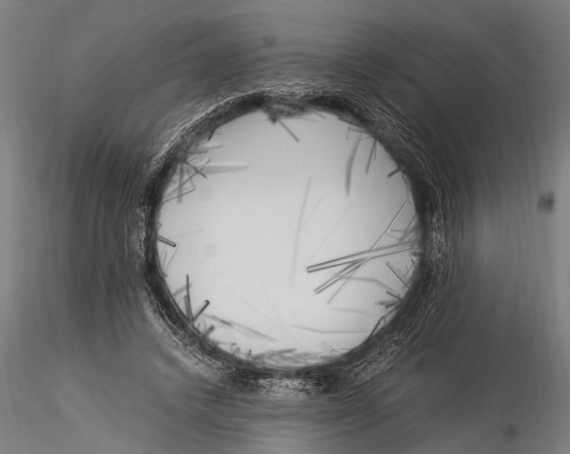 X0000116020448200912111356