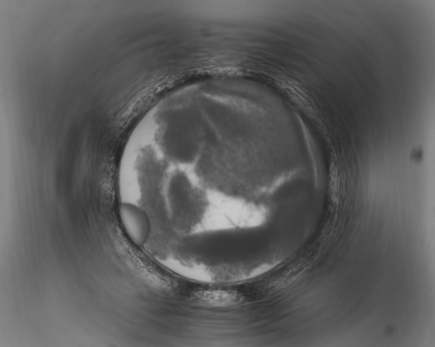 X0000116020449200912111356