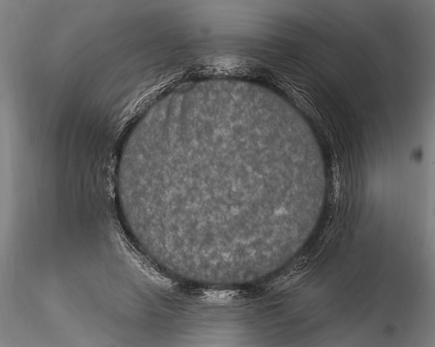 X0000116020450200912111356