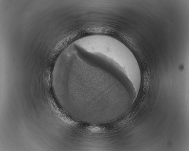 X0000116020453200912111356