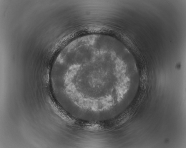 X0000116020454200912111356