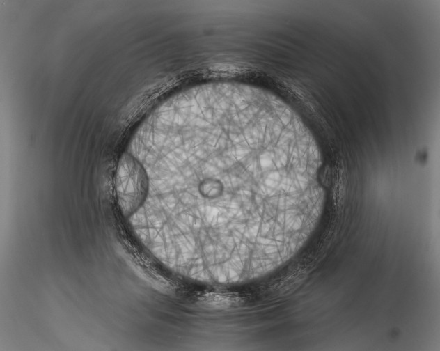 X0000116020455200912111356