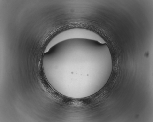 X0000116020456200912111356