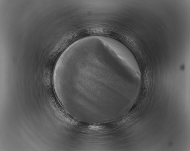 X0000116020457200912111356