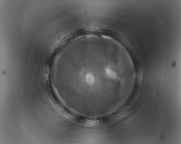 X0000116020458200912111356