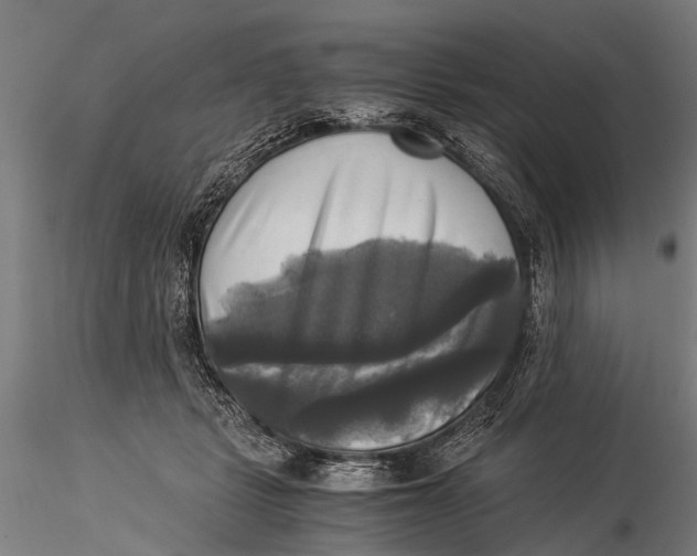 X0000116020461200912111356