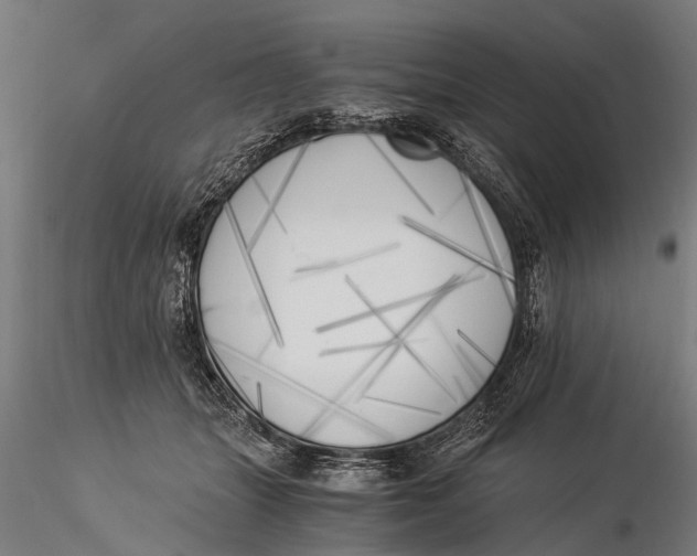 X0000116020463200912111356