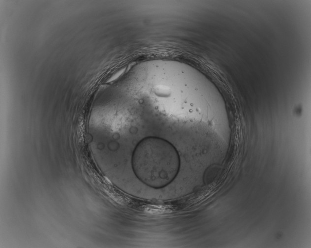 X0000116020465200912111356