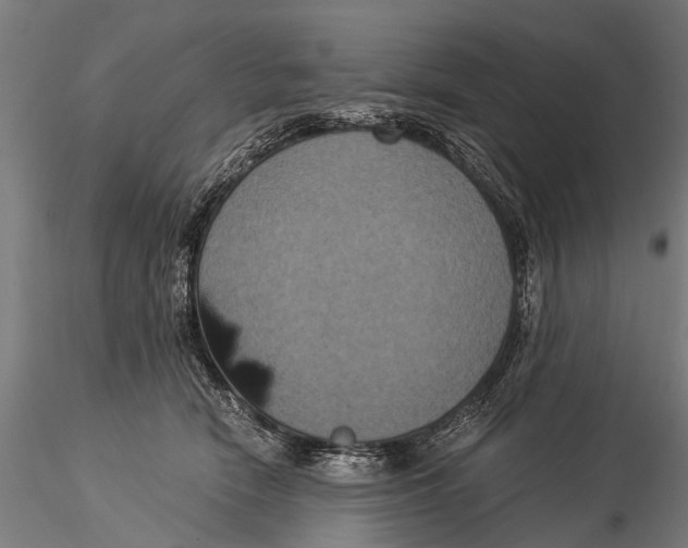 X0000116020466200912111356