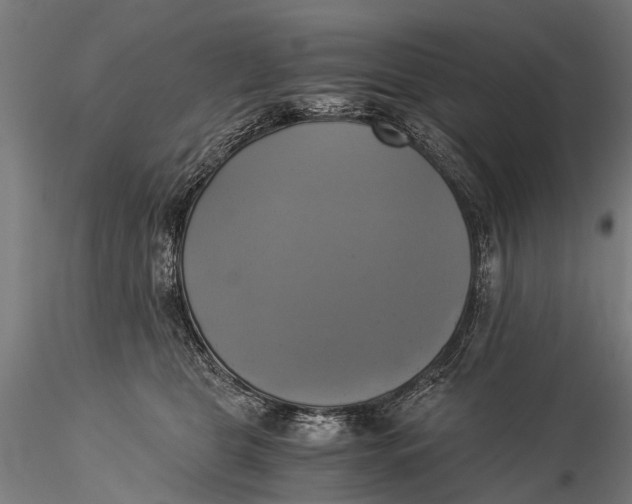 X0000116020469200912111356