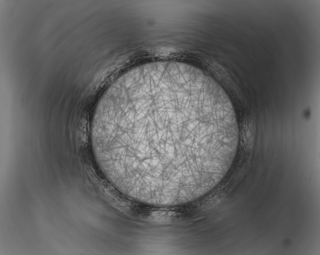 X0000116020470200912111356