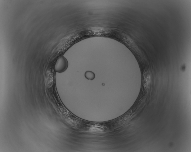 X0000116020471200912111356