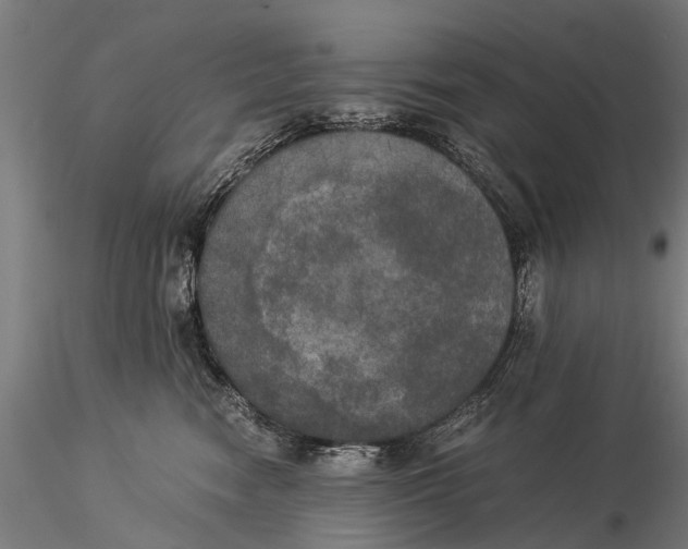 X0000116020474200912111356