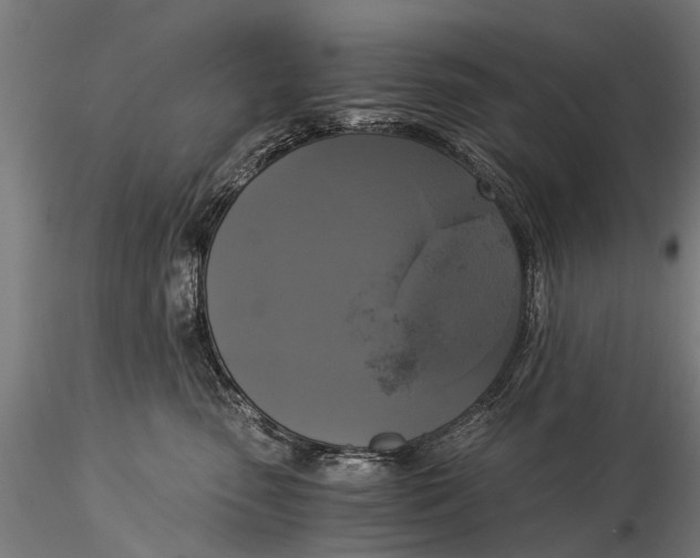 X0000116020475200912111356