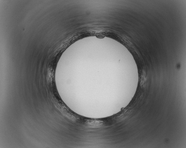 X0000116020476200912111356