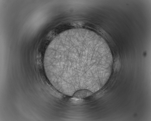 X0000116020477200912111356