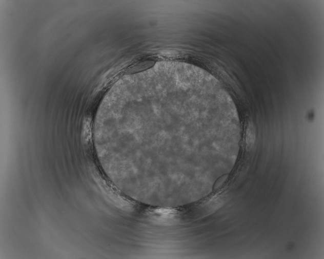 X0000116020478200912111356