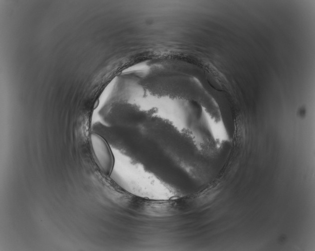 X0000116020479200912111356