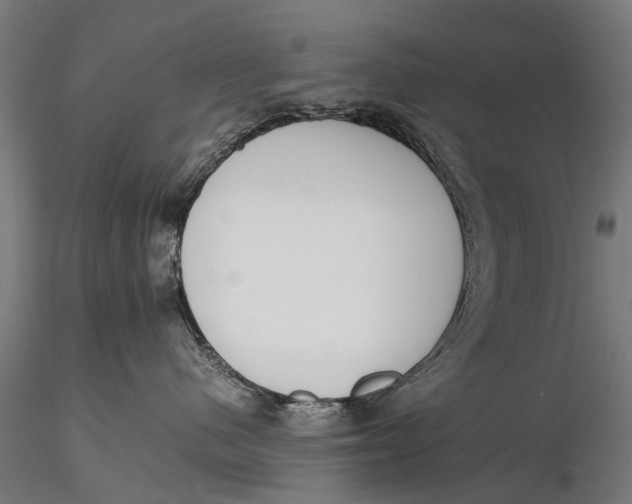 X0000116020480200912111356