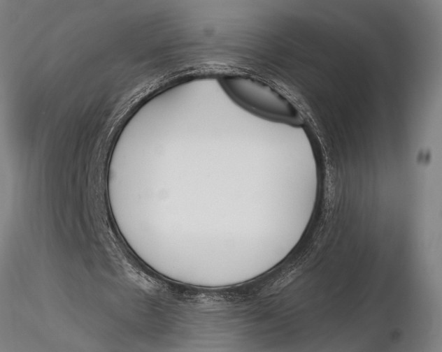 X0000116020481200912111355