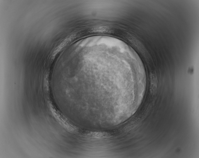 X0000116020482200912111355