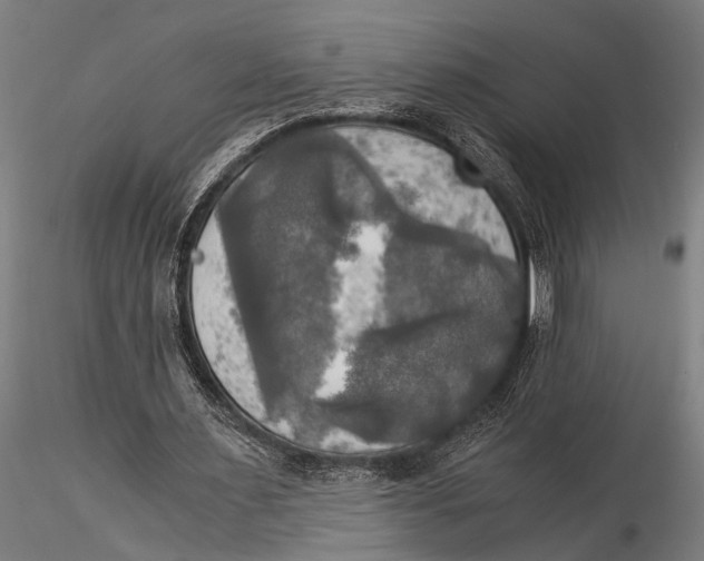 X0000116020483200912111355