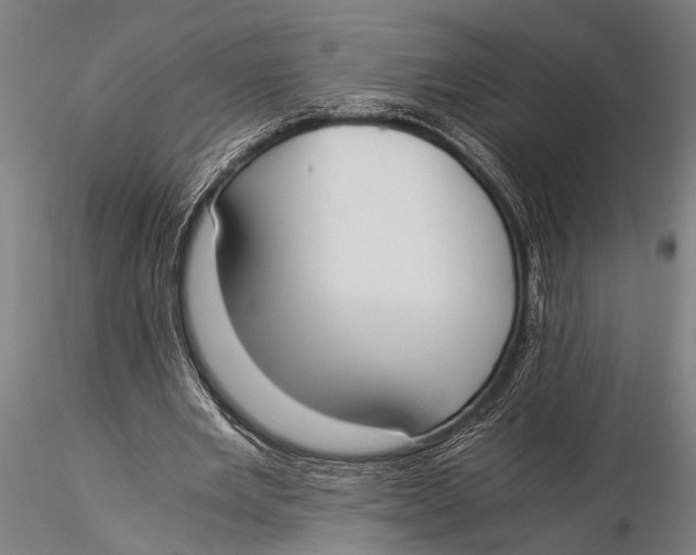 X0000116020485200912111355