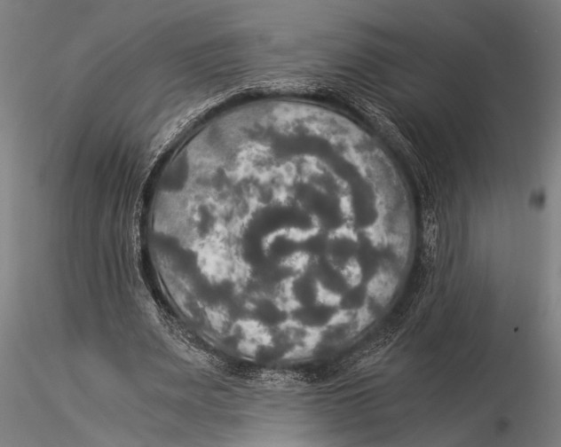 X0000116020487200912111355