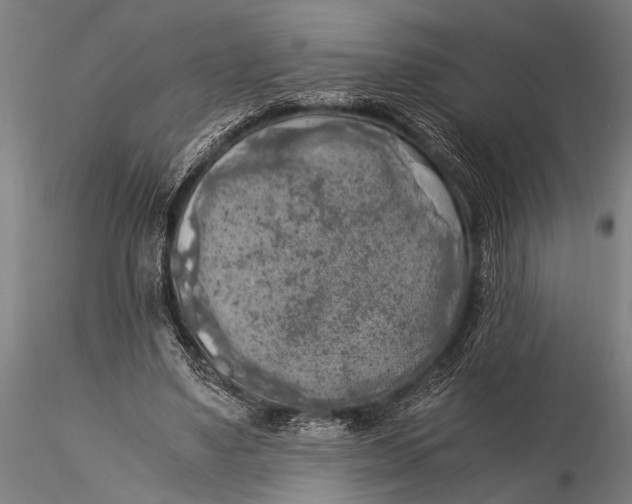 X0000116020491200912111355