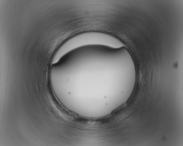 X0000116020493200912111355