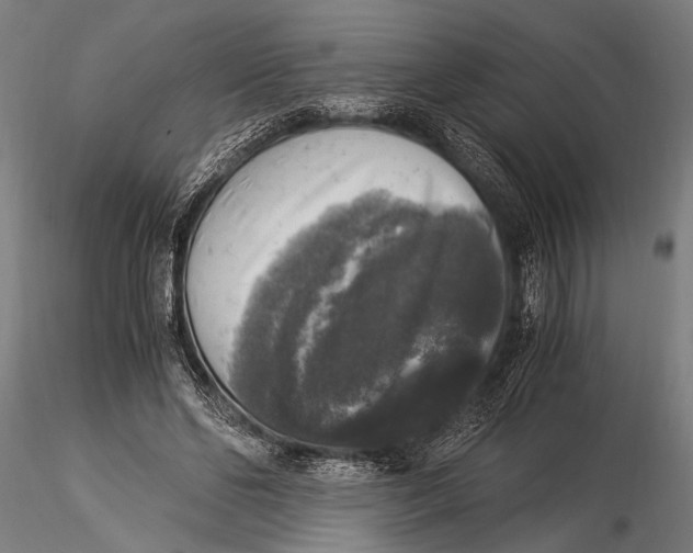 X0000116020494200912111355