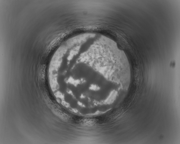 X0000116020495200912111355