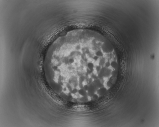 X0000116020499200912111355