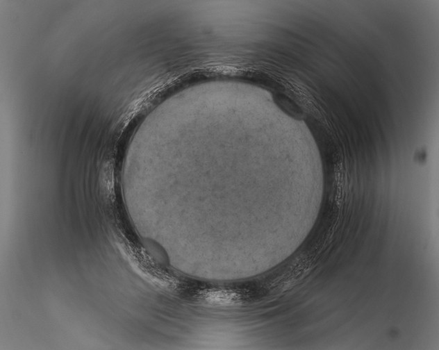 X0000116020500200912111355