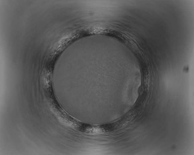 X0000116020503200912111355