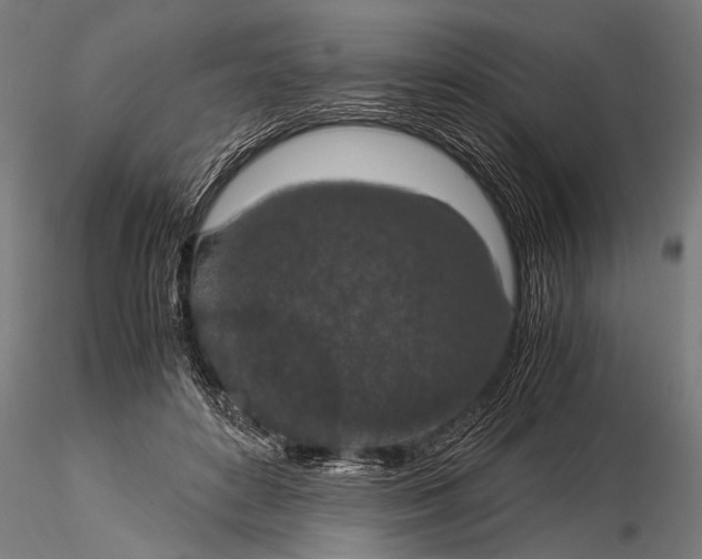 X0000116020504200912111355