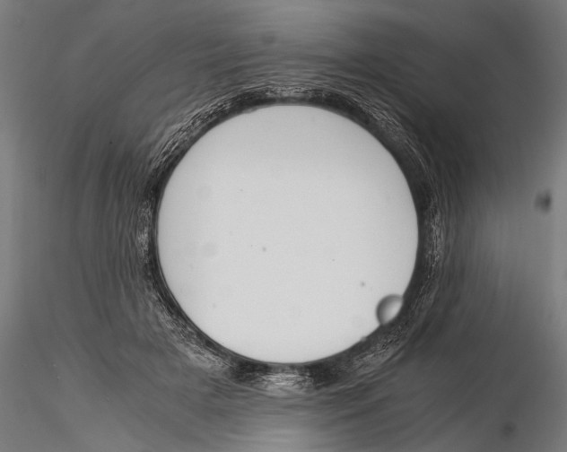 X0000116020505200912111355