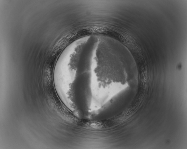 X0000116020506200912111355