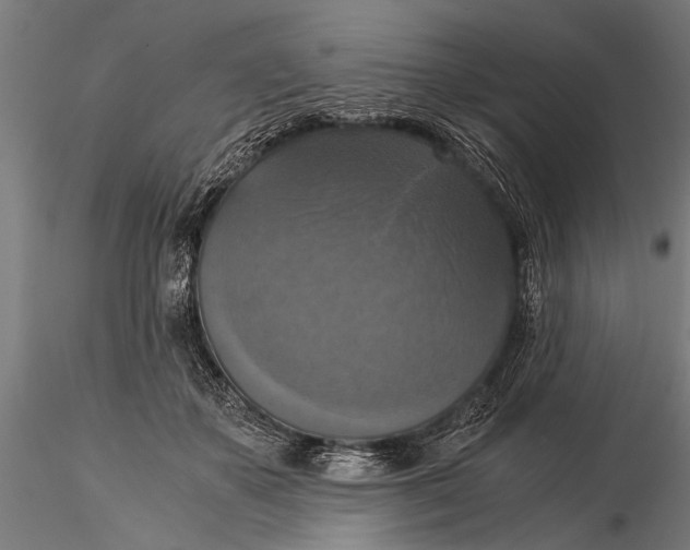 X0000116020507200912111355