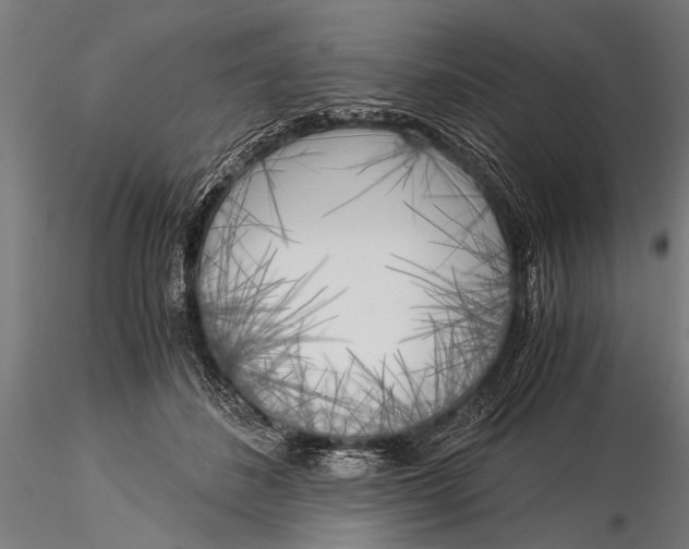 X0000116020508200912111355