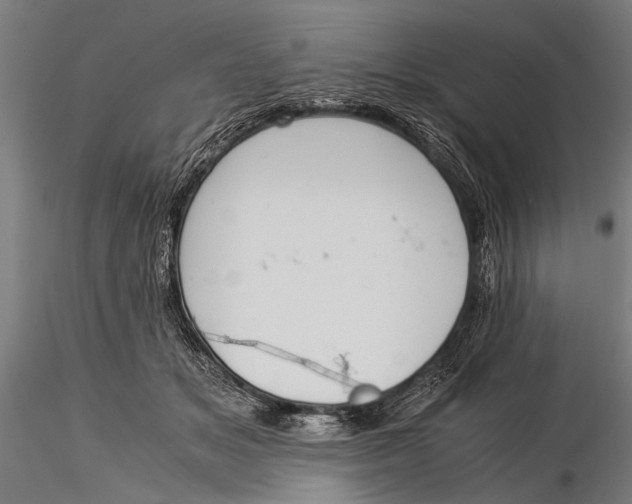 X0000116020509200912111355